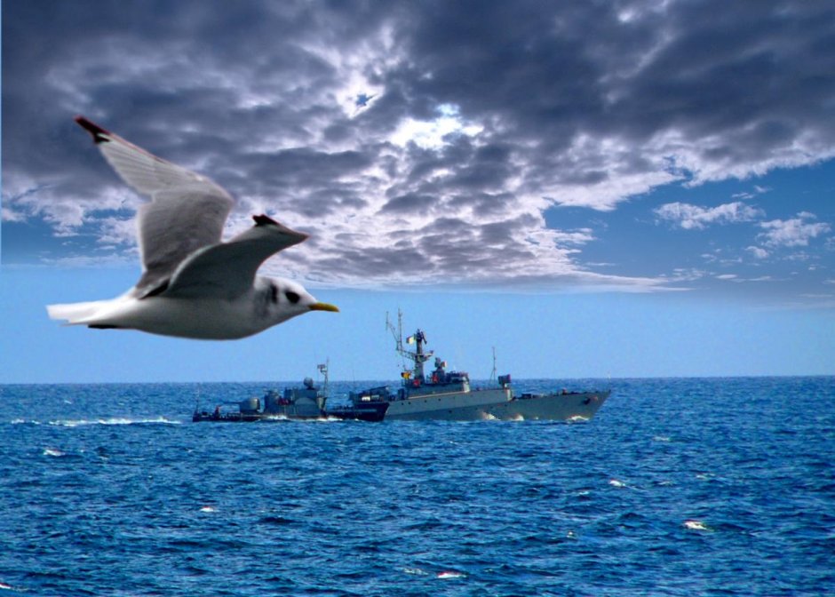 Боевой корабль Альбатрос