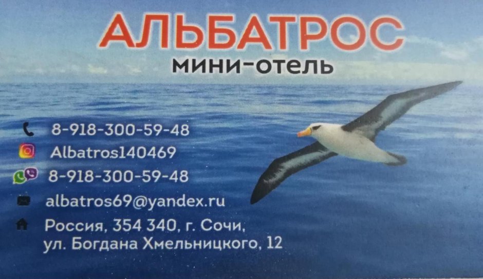 Роман Альбатрос