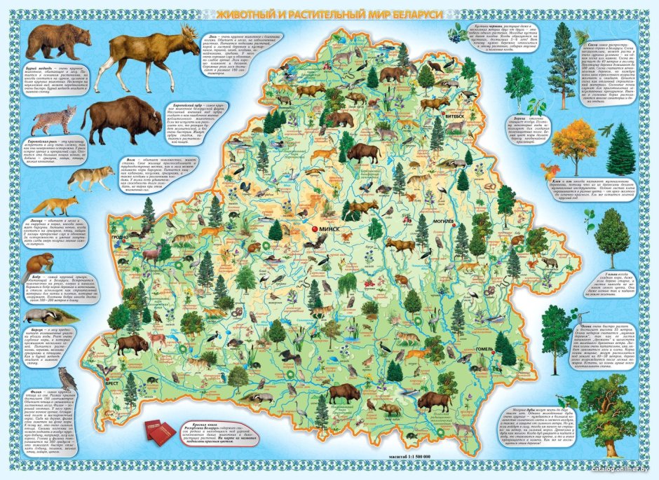 Животный мир Беларуси карта