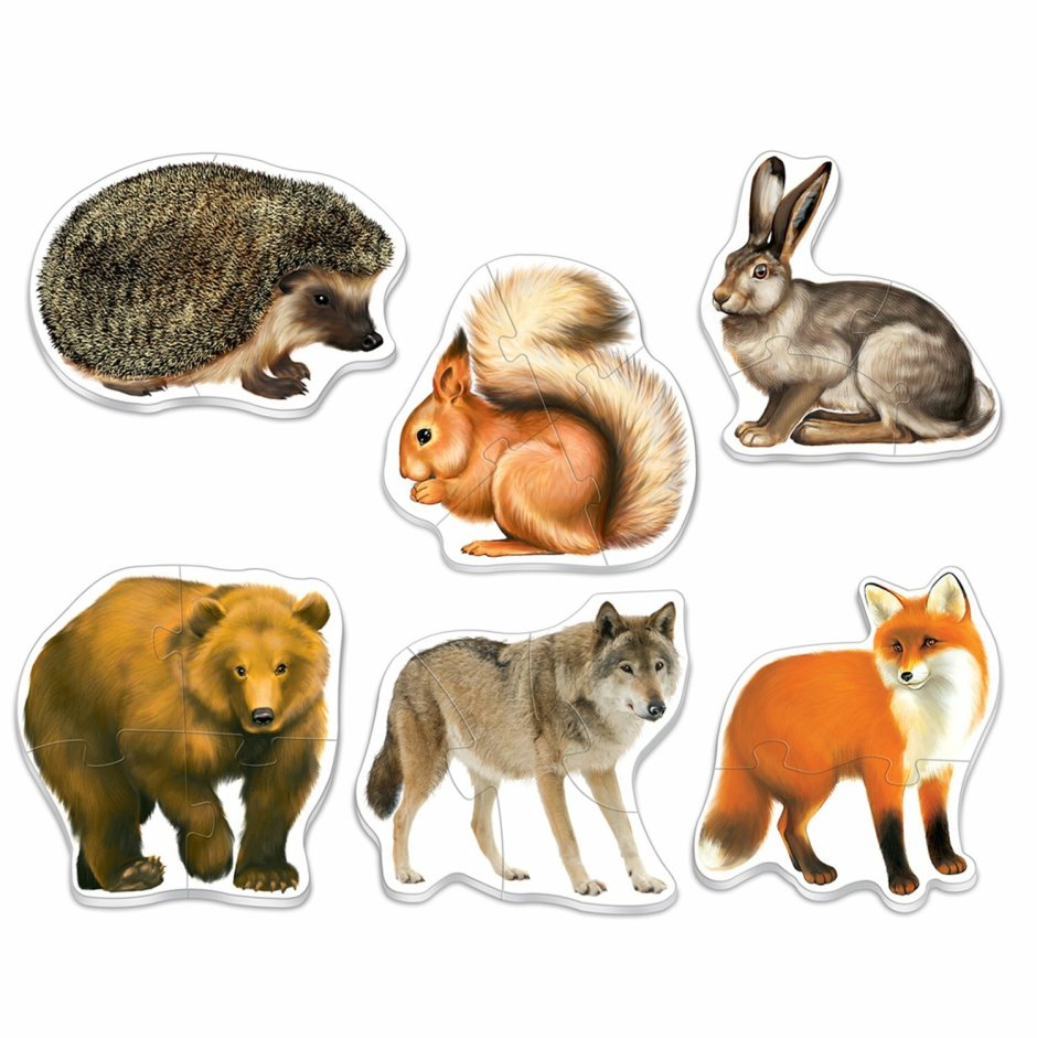 Лось осенью