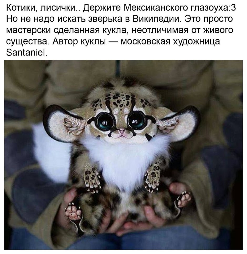 Мадагаскарский глазоух игрушка