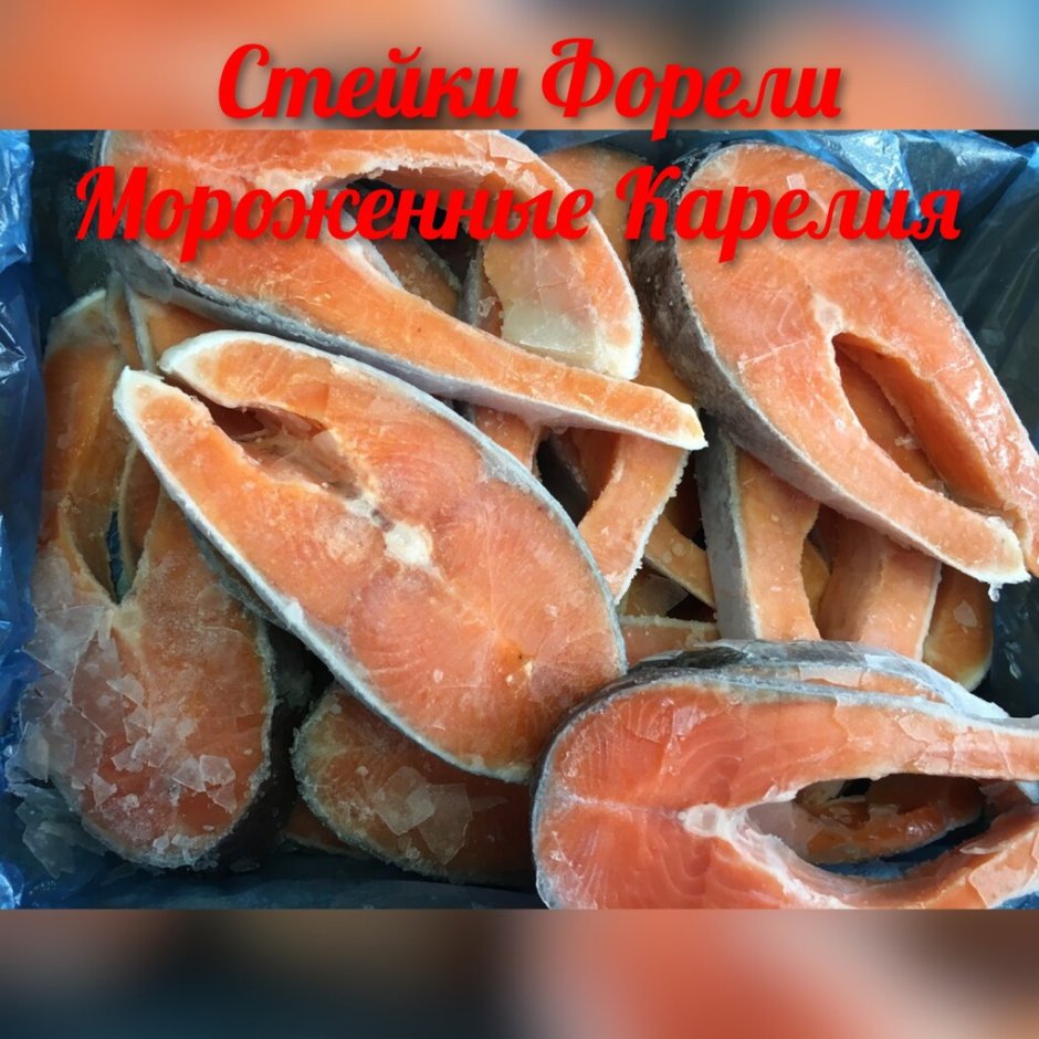 Лосось форель кижуч