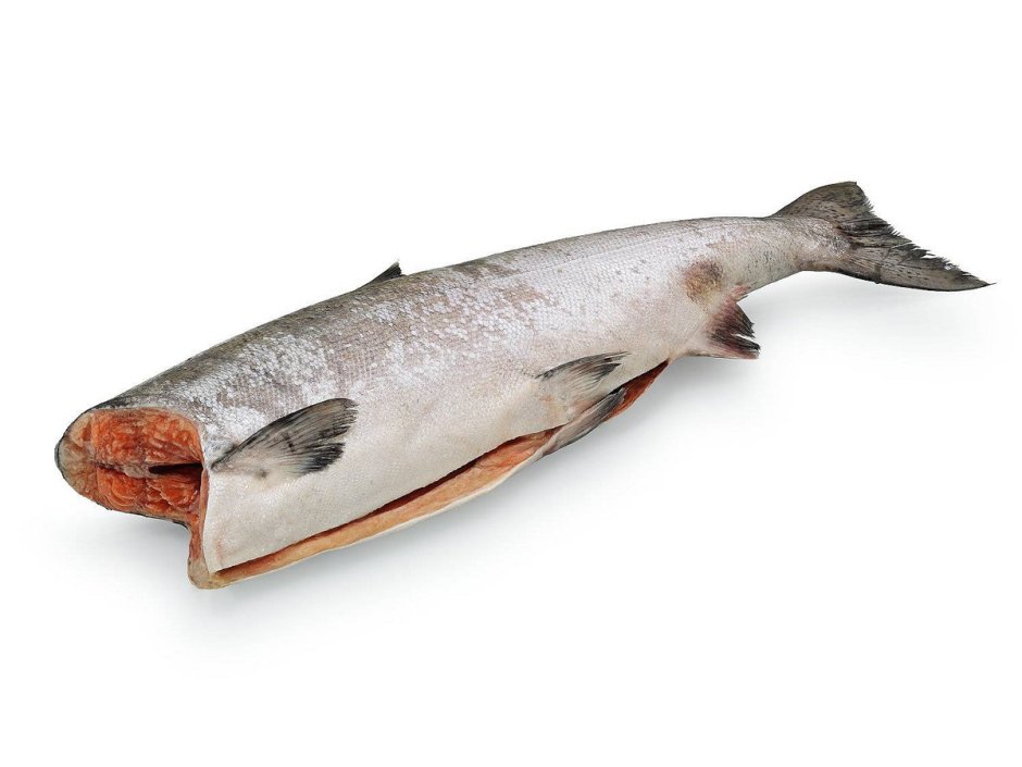Кижуч и чавыча