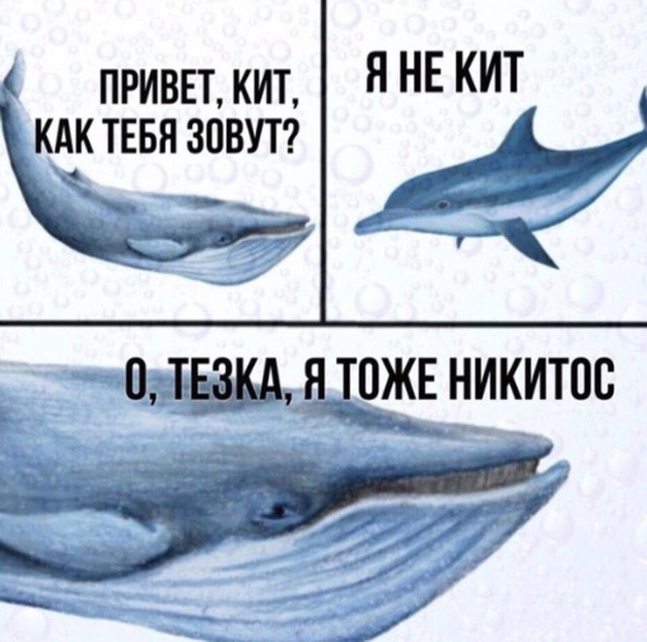 Кит падает в воду