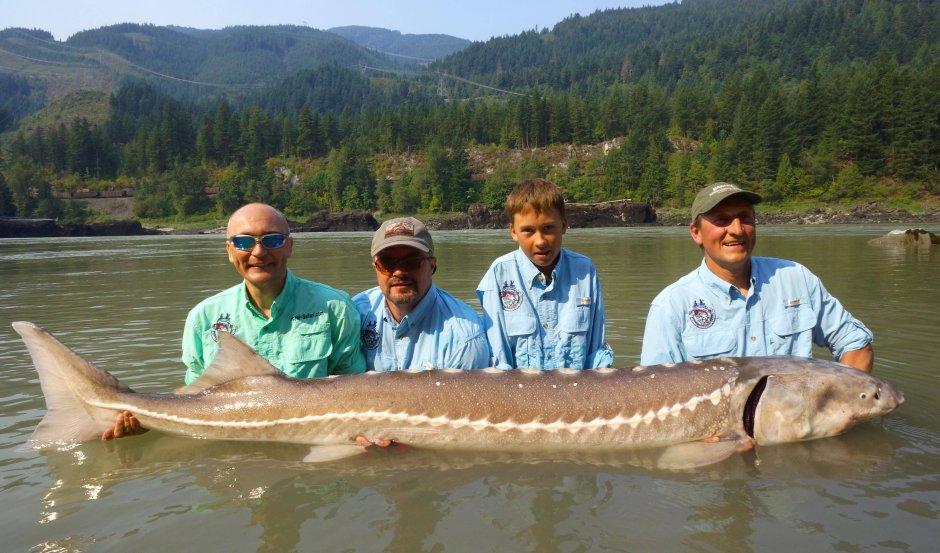 Волжская Белуга