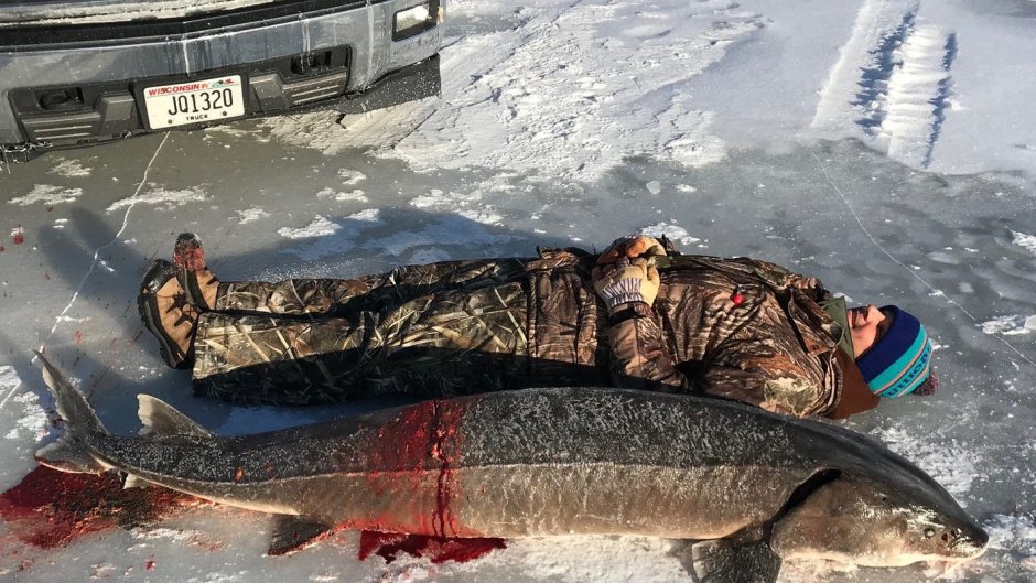 Речные монстры с Джереми Уэйдом Белуга