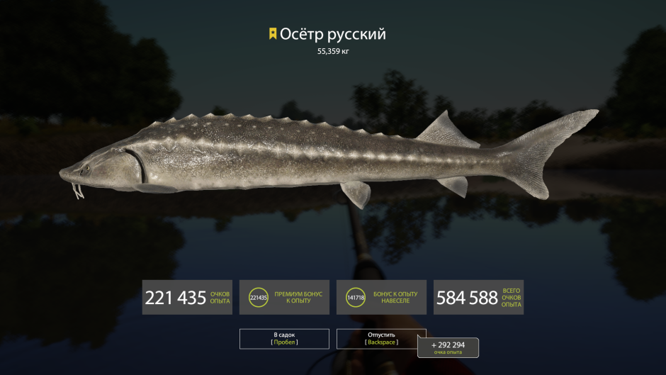 Веслонос альбинос