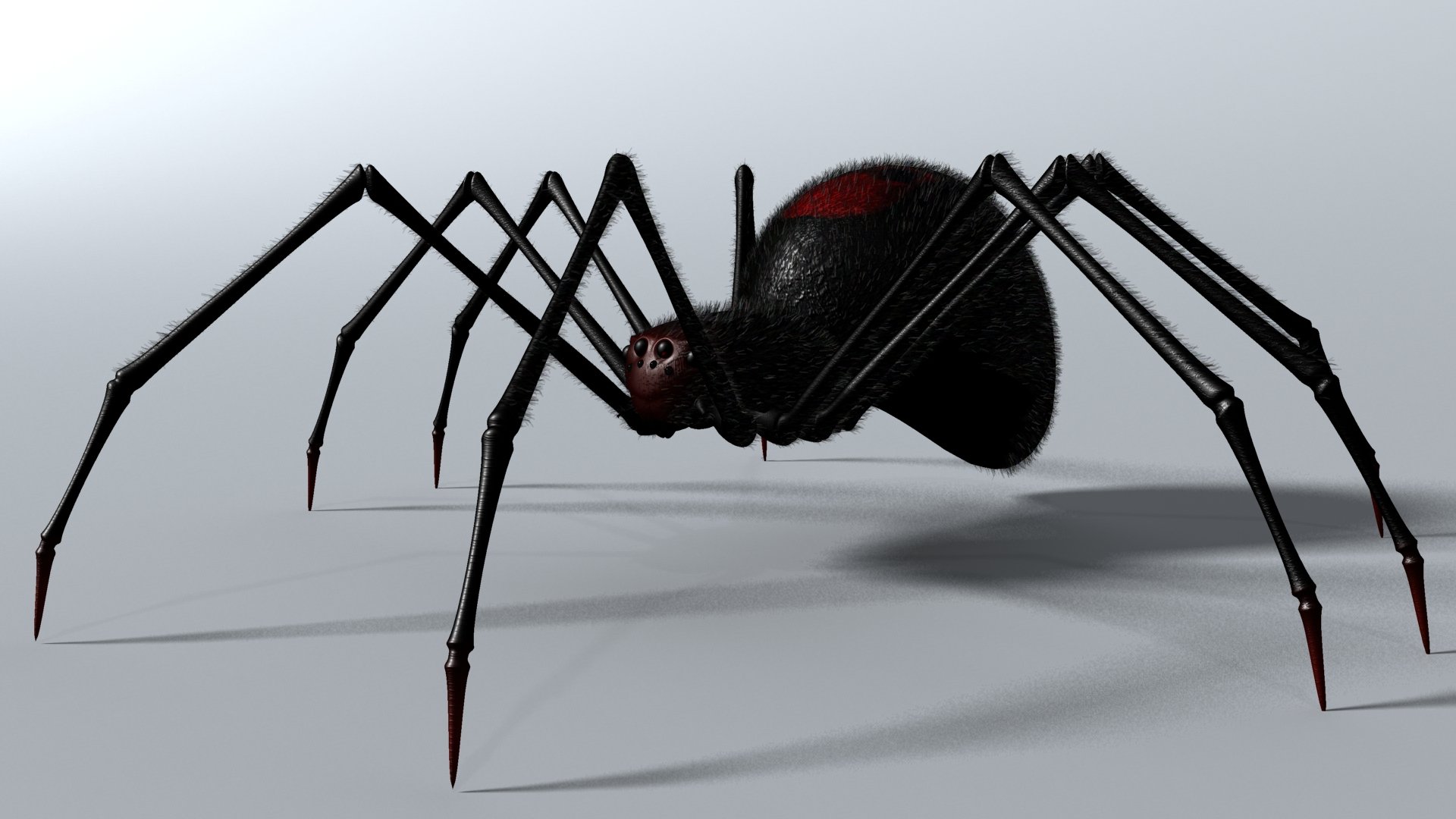 Паук 3.3 5. Черный Арахнид паук. Черная вдова паук. Джейба Фофи гигантский паук. Спидер паук.