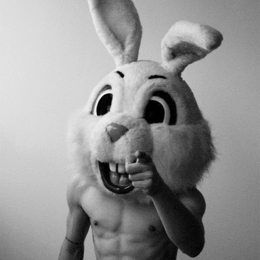 Танцующий заяц. Человек с головой зайца. Заяц без головы. Заяц на голове у фотографа.