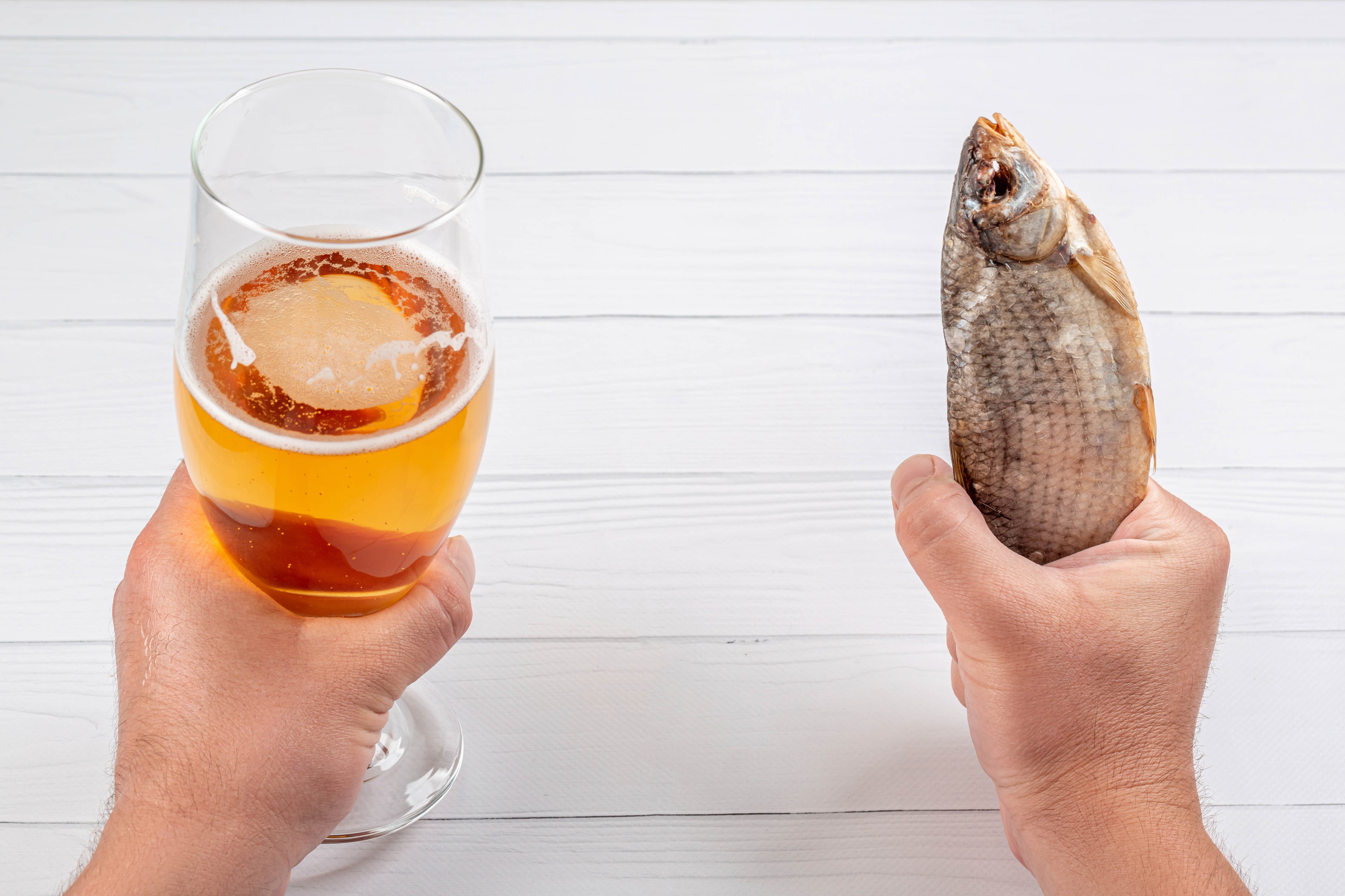 Рыба пьет пиво. Вобла рыба. Таранка.