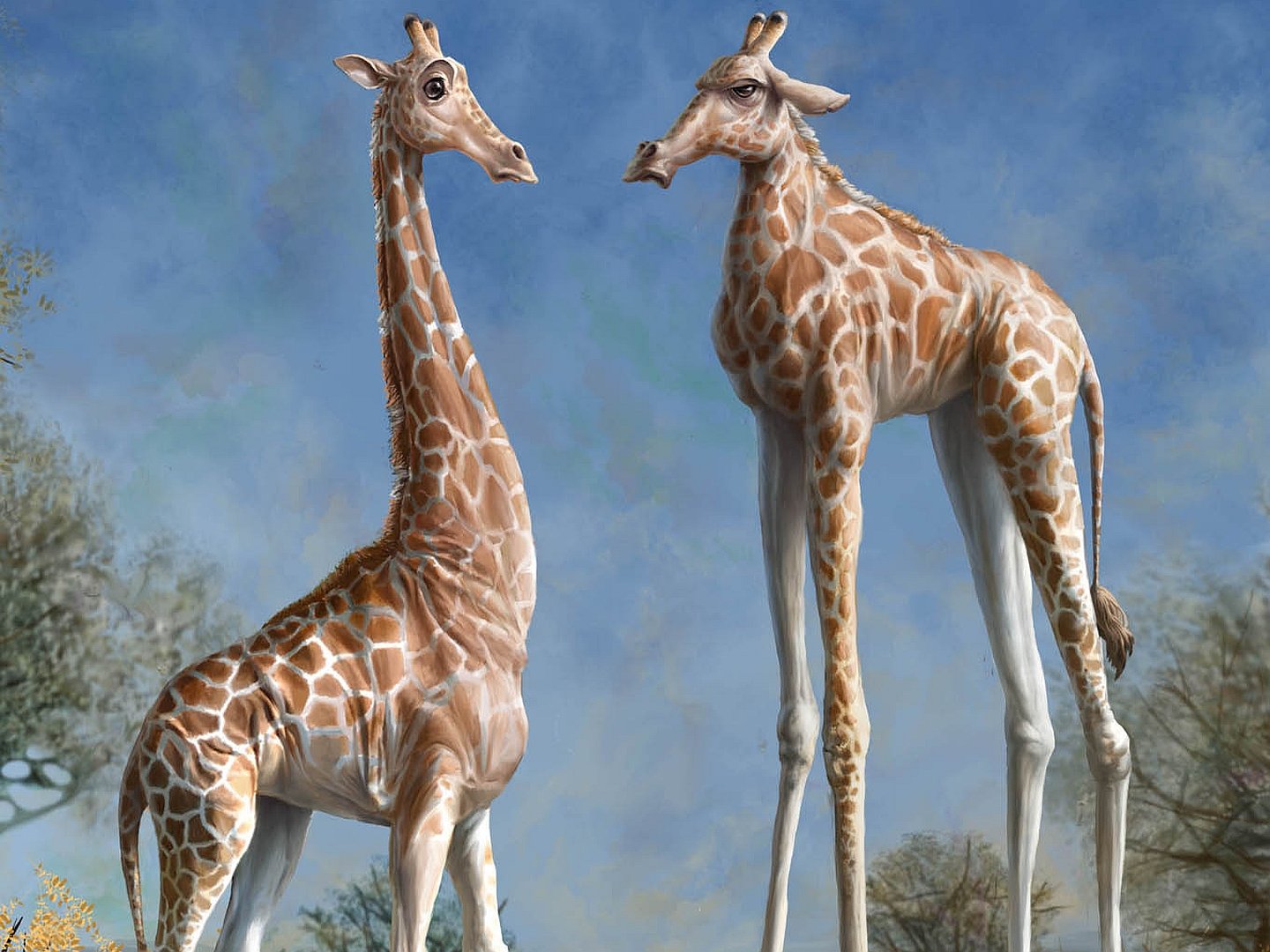 Самое тонкое животные. Короткошеий Жираф. Жираф с короткой шеей. Животные с длинными ногами. Длинноногий Жираф.