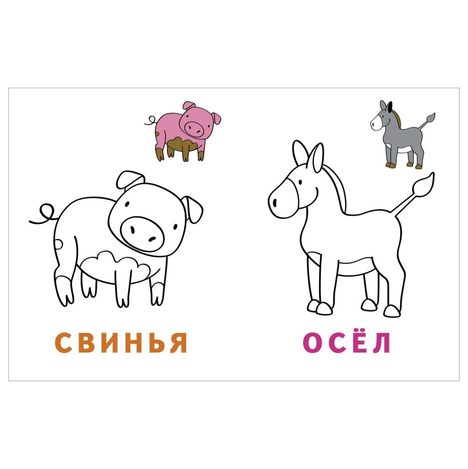 Читалка раскраска домашние питомцы