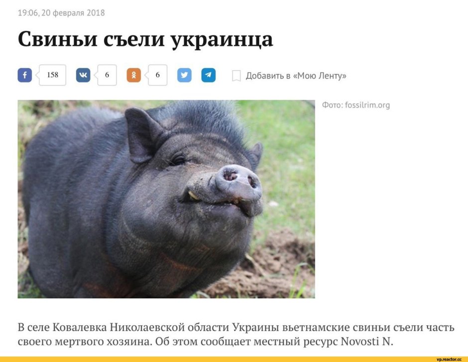 Трансформация в осла