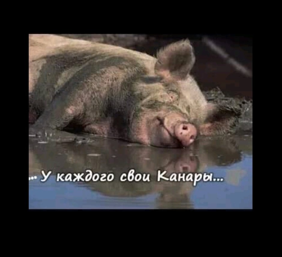 Sad Donkey cartoon