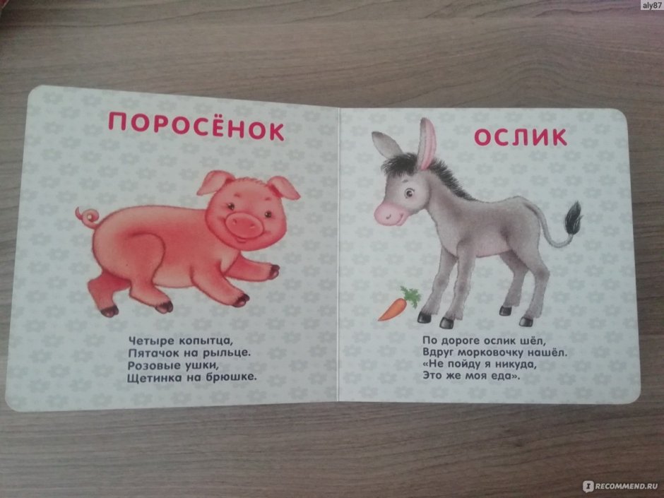 Ослик и свинья