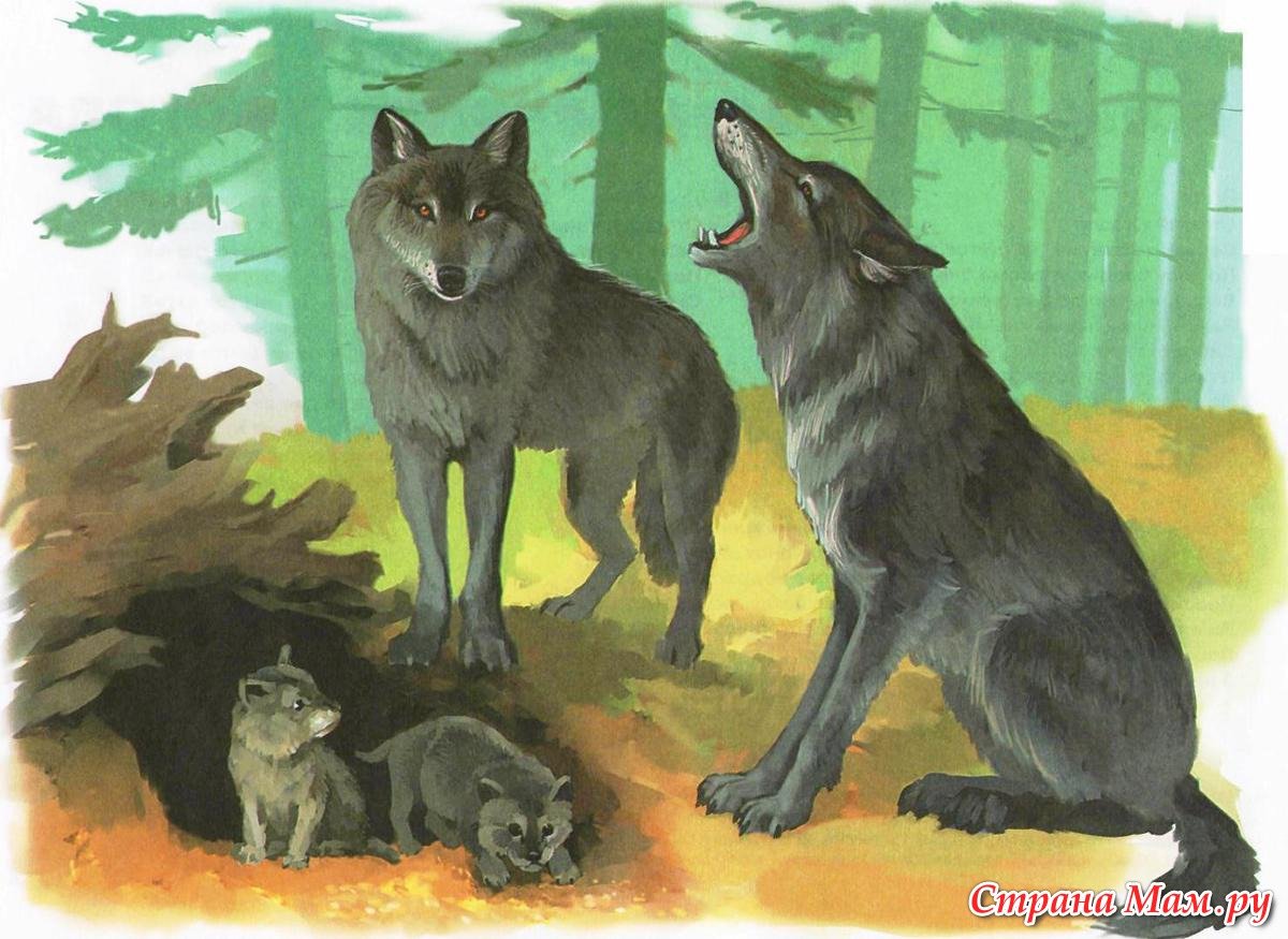 Волк детям о животных. Волчье Логово (волчица с волчатами) в. Горбатов. Животные наших лесов. Волк с волчатами. Семья диких животных.