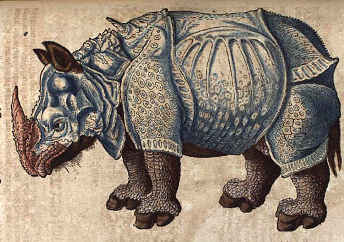Носорог рептилия. Альбрехт Дюрер носорог. Дюрер носорог гравюра. Альбрехт Дюрер носорог гравюра. Фреска Дюрера носорог.
