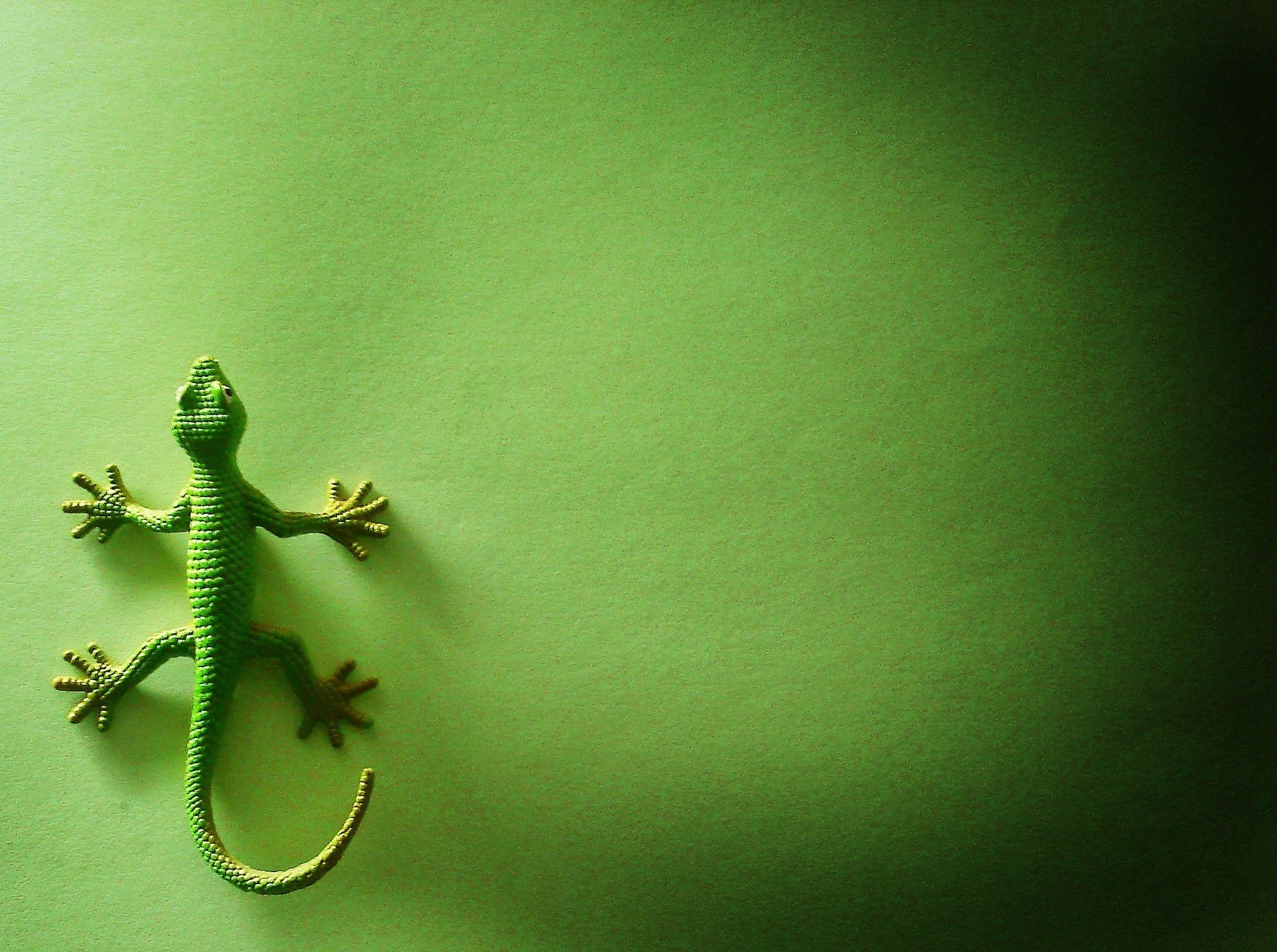 Фон ящерица. Изумрудная ящерица Лизард. Ящерица зеленого цвета. Ящерица с короной. Ящерка для презентации.