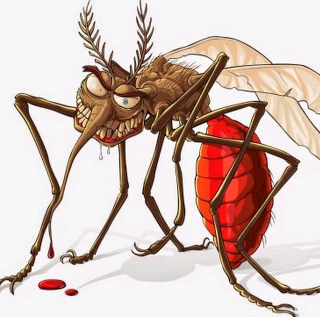 Малярийная муха. Жук Москит. Комар. Злой комар. Комар кровопийца.