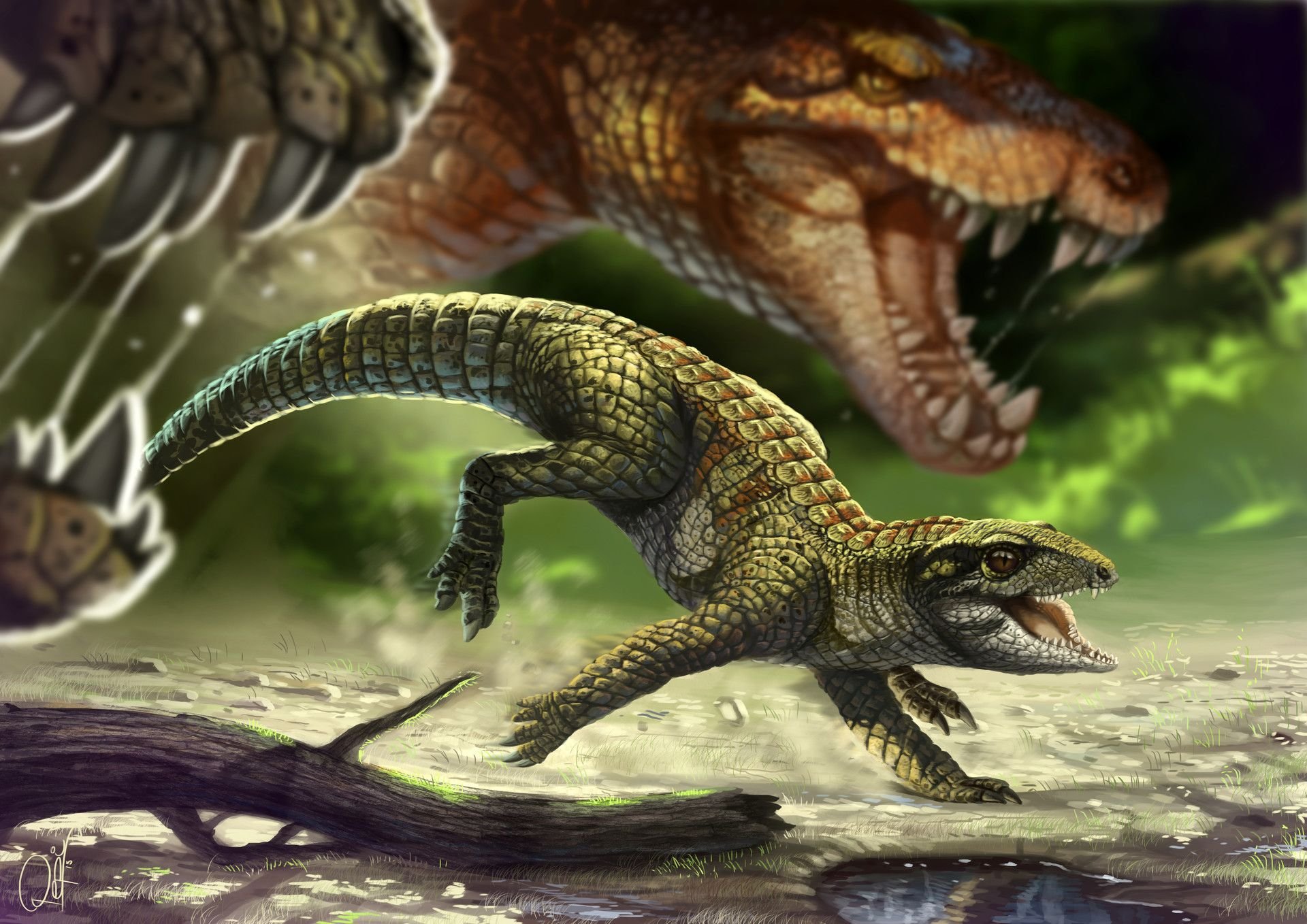 Предки современных рептилий. Баурузух. Квинкана сухопутный крокодил. Araripesuchus. Крокодиломорфы Юрского периода.