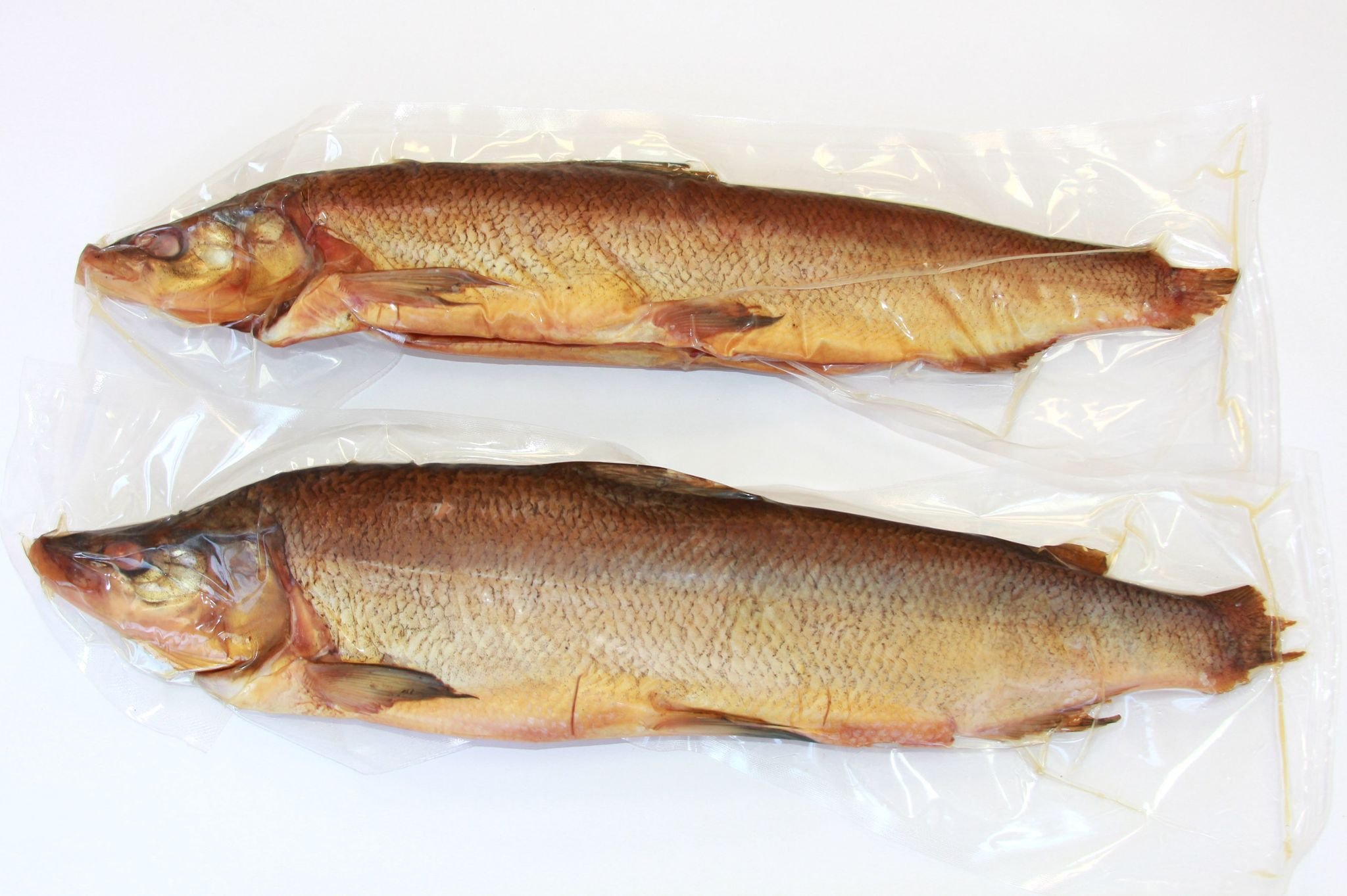 Какие рыбы на севере. Северная рыба муксун. Муксун - Coregonus muksun. Чир и муксун. Рыба муксун и Нельма.