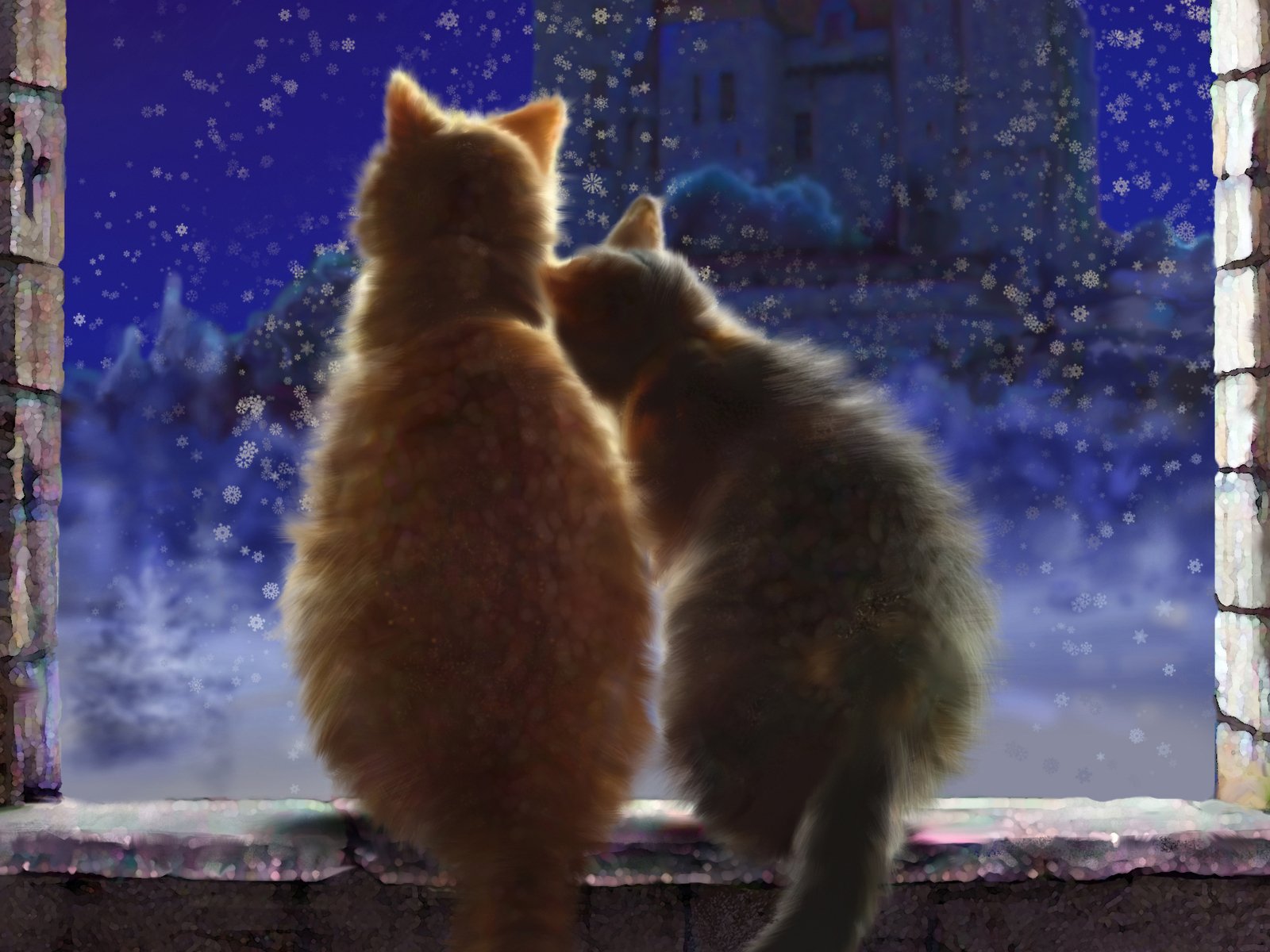 Вечера с кошкой картинки. Кошки любовь. Влюбленные коты. Два кота. Доброй ночи зима.