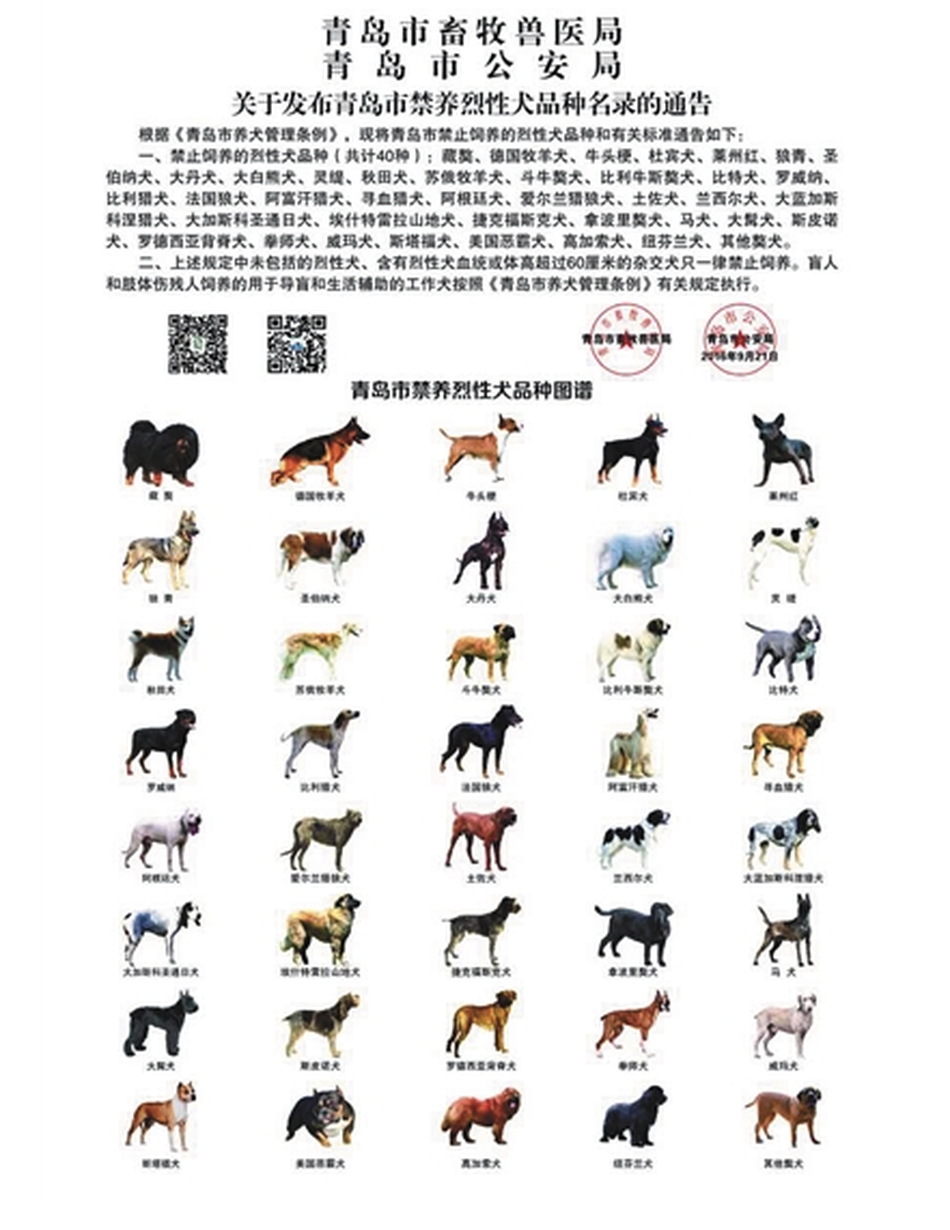 Как будет собака на китайском. Запрещенные породы собак. Запрещённые породы собак в Китае. Список запрещенных пород собак. Корейские породы собак с фотографиями.