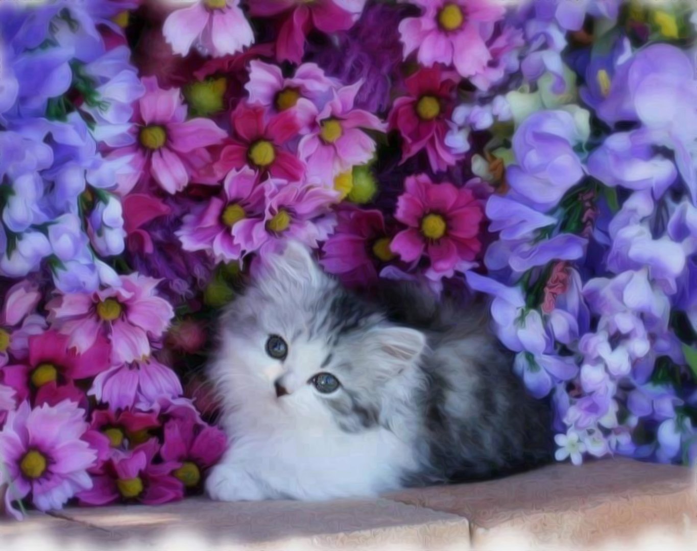 Открытка кот с цветами. Котёнок с цветком. Котенок в цветах. Котик с цветочком. Красивые котята.