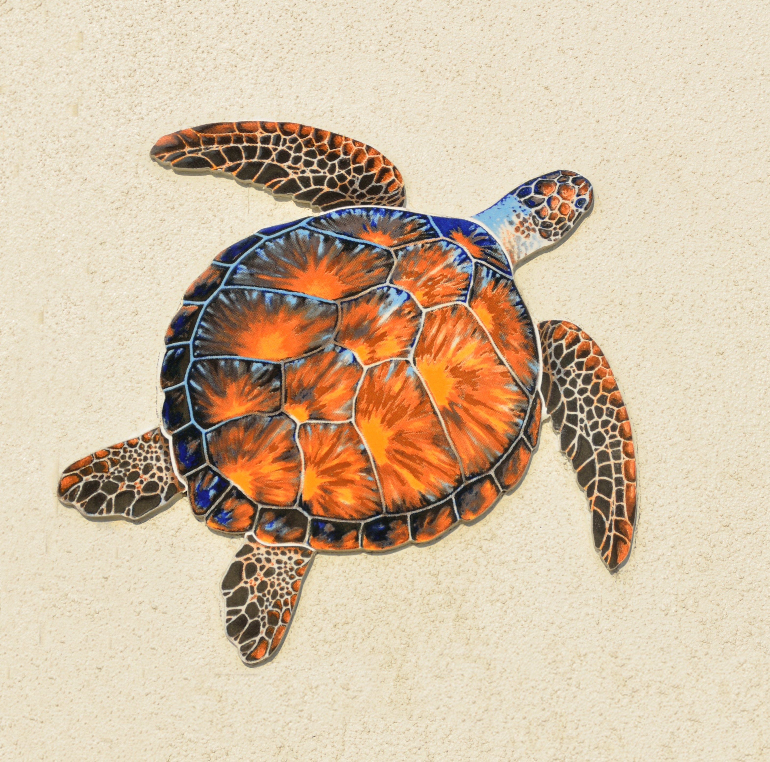 Симметрия черепахи. Панцирь морской черепахи. Западная Расписная черепаха. Морская черепаха узор на панцире.