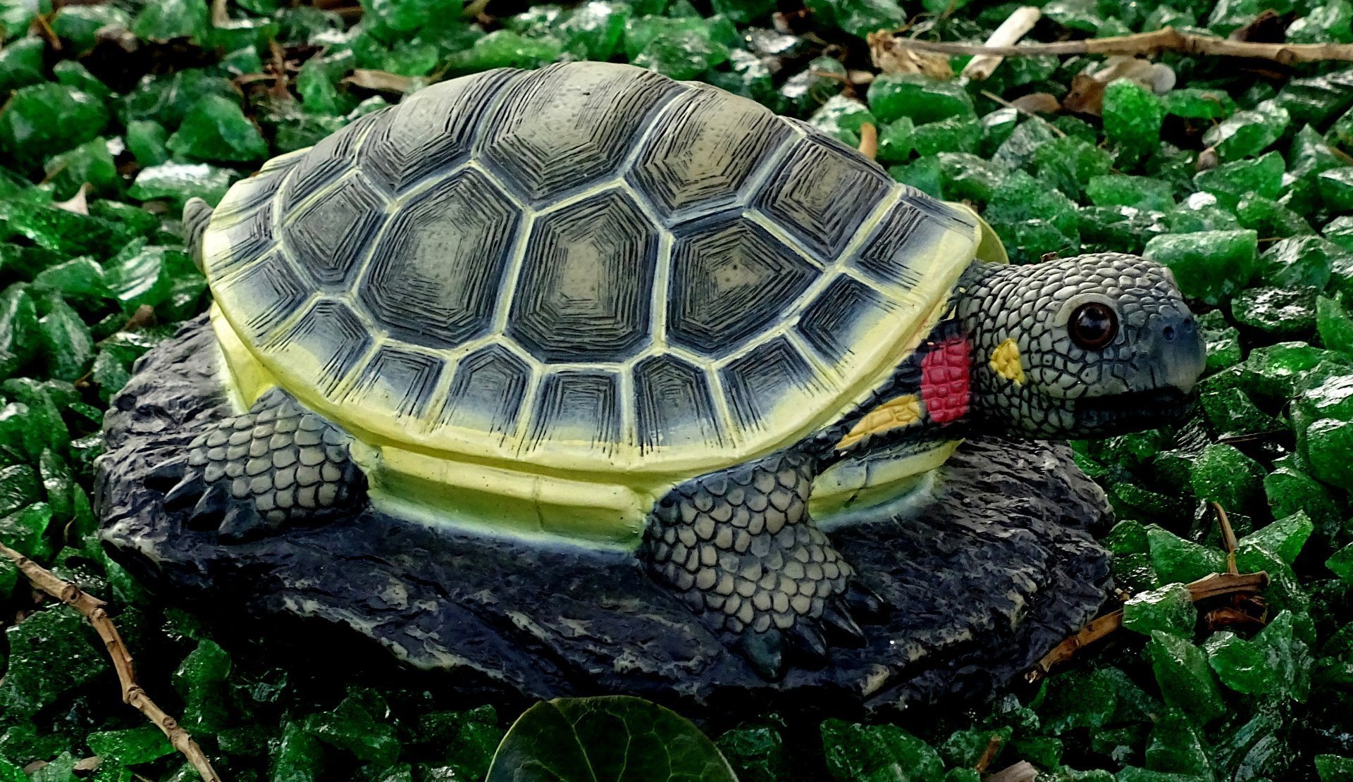 Черепашка. Красноухая черепаха сухопутная. Пресмыкающиеся красноухая черепаха. Каспийская красноухая черепаха. Мексиканская черепаха.