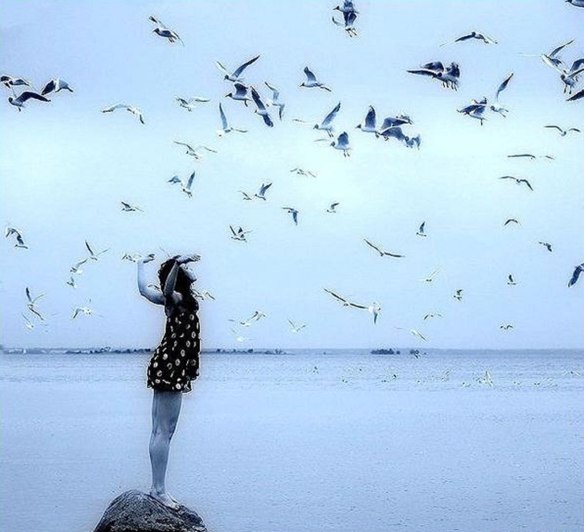 Вокруг меня простирались печальные. Девушка море Чайки. Море, птицы, человек. Человек и стая птиц. Птица грусть.