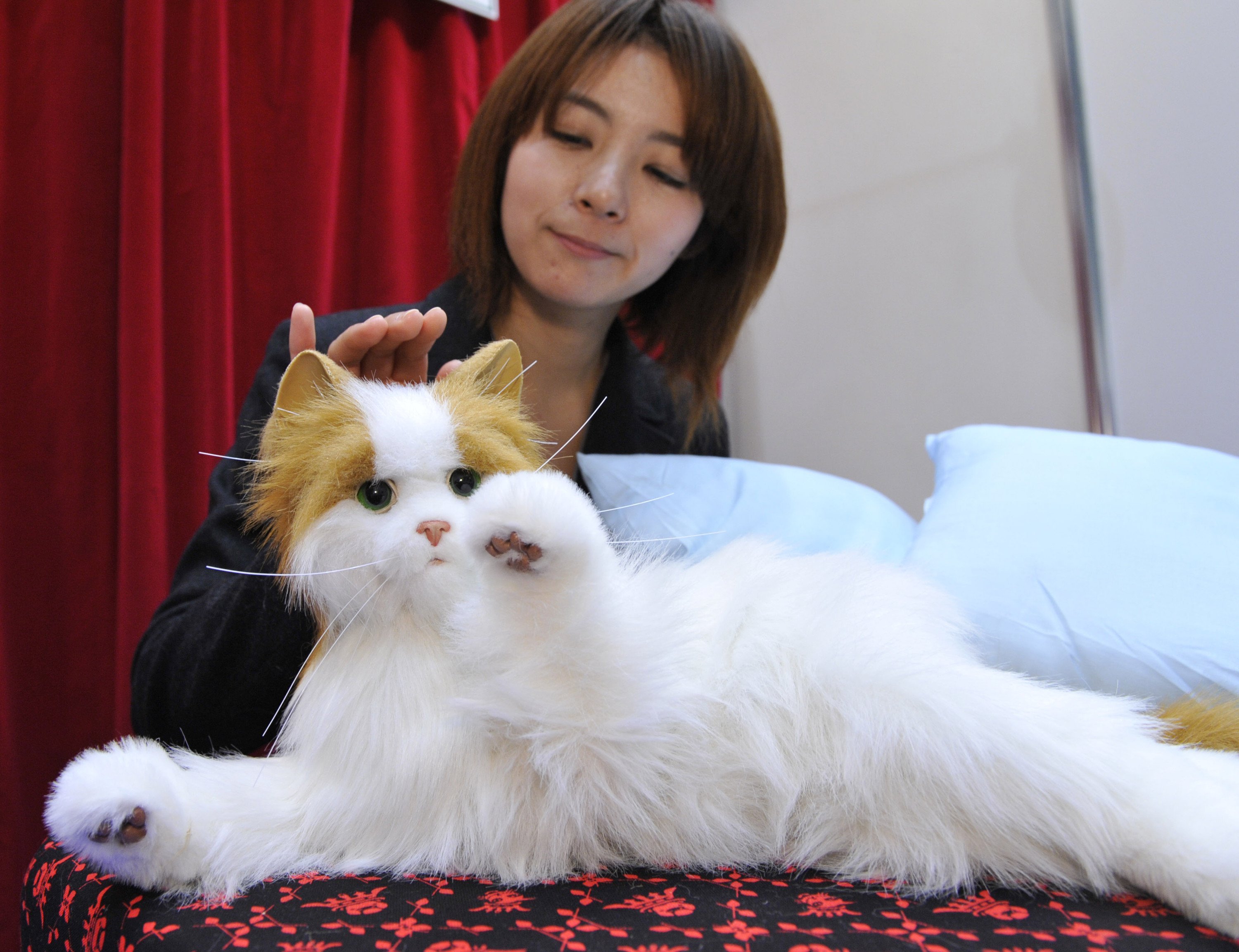 Котики в китае видео. Робот-кошка от Sega. Японский робот кот. Коты в Японии. Домашние животные у японцев.
