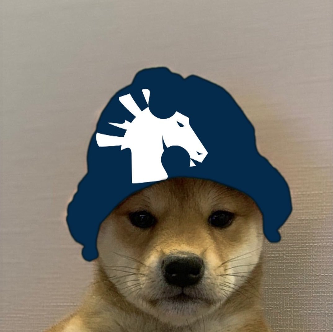 Ава для дс мем. Собака в кепке. Ава собака в шапке. Панамка для собаки. Шапка 'собака'.