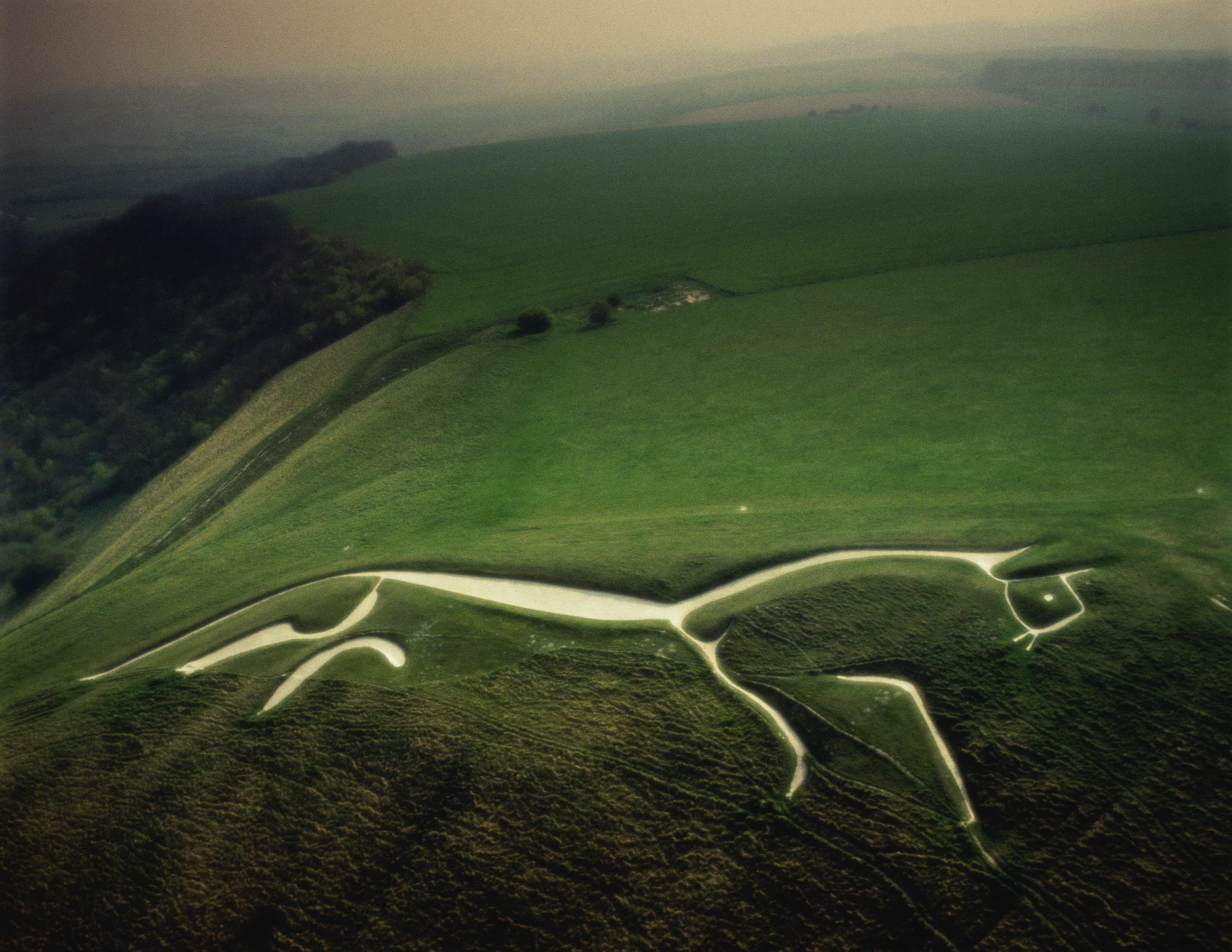 Белая лошадь Англия геоглиф. Уффингтонская белая лошадь в Англии. Уффингтонская белая лошадь геоглифы. Уффингтонская лошадь меловая фигура. Уффингтонская лошадь forza horizon
