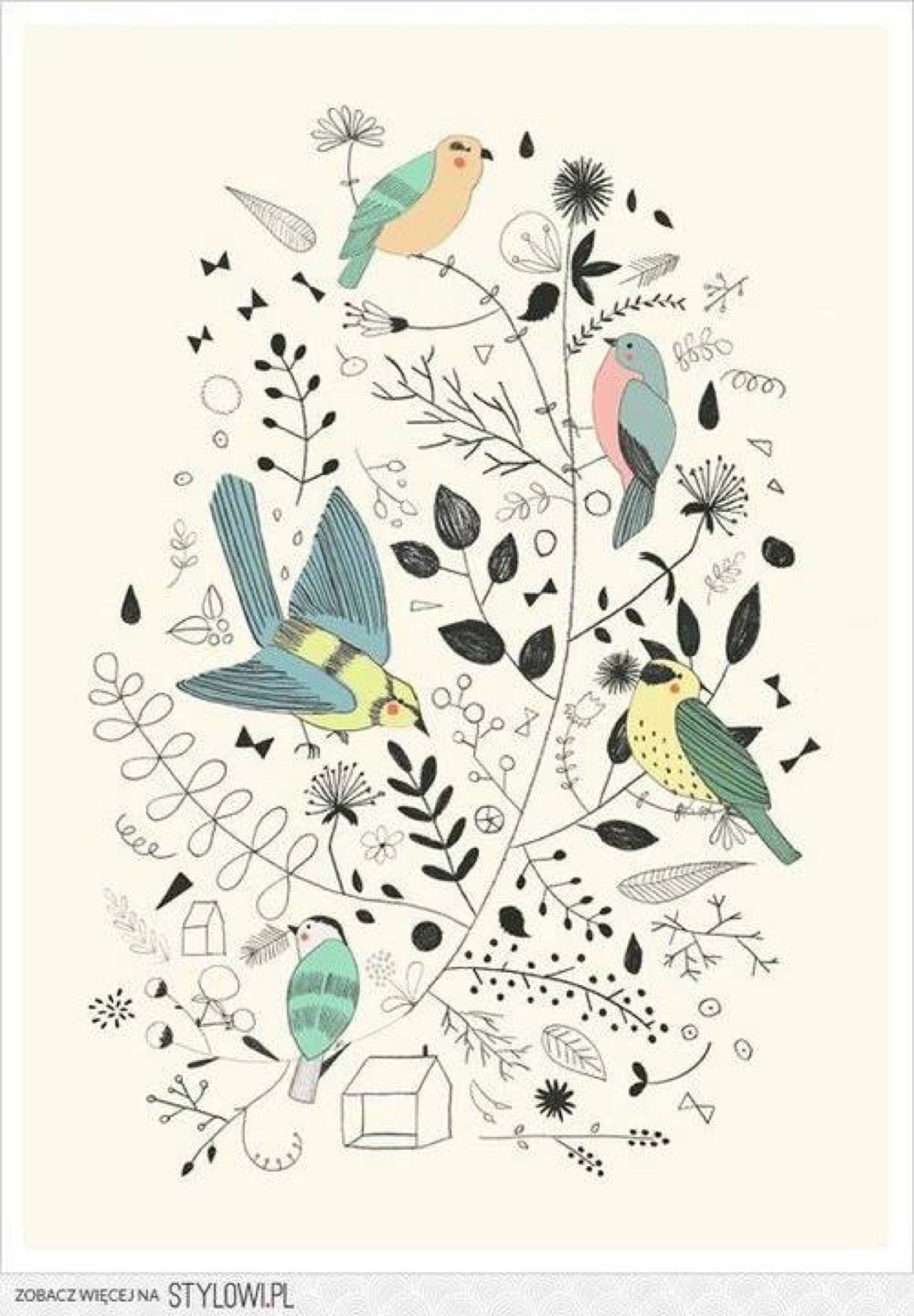 Постер птицы. Постеры с птичками. Постеры с изображением птиц. Постер красивый с птичками.