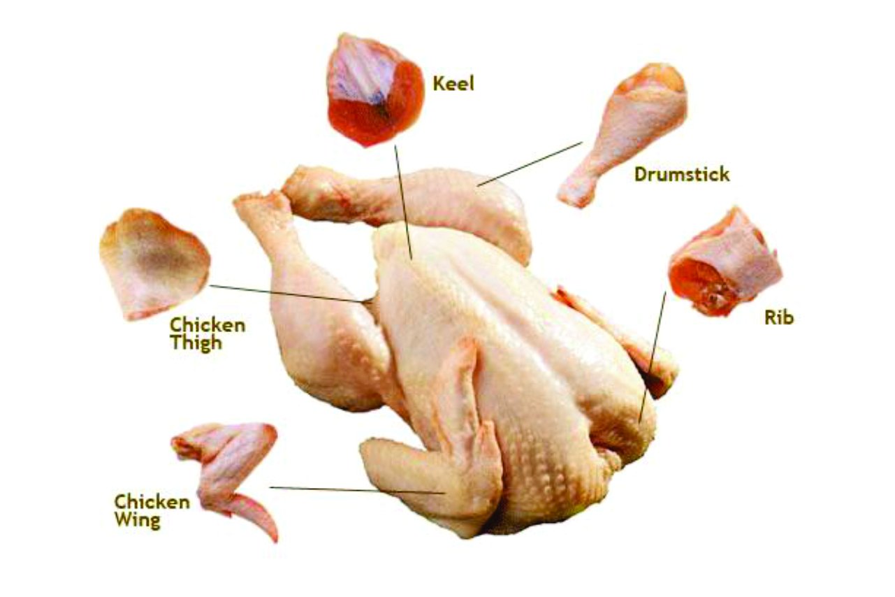 Вырост грудины киль. Киливая кисть у курицы. Части тела курицы.