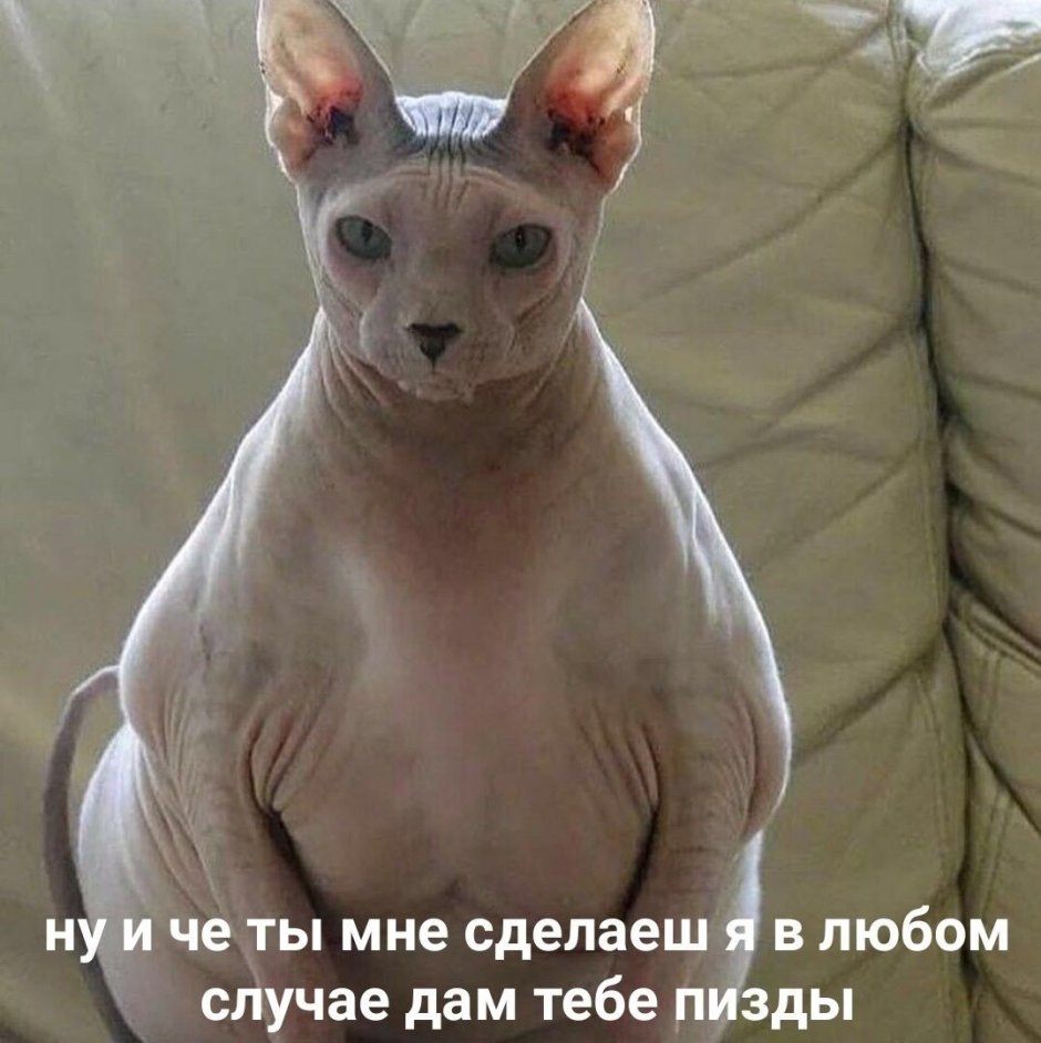 Сфинкс с сисями
