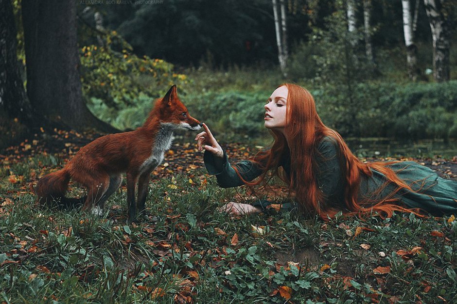 Александра Бочкарева фотограф лиса