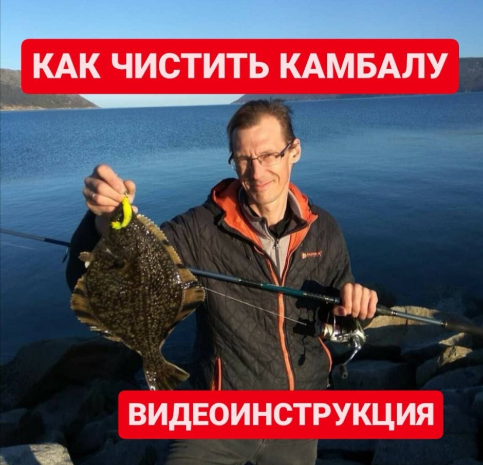 Камбала тюрбо