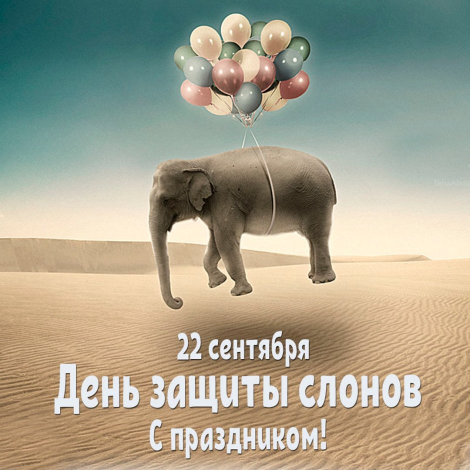 Креативные слоны