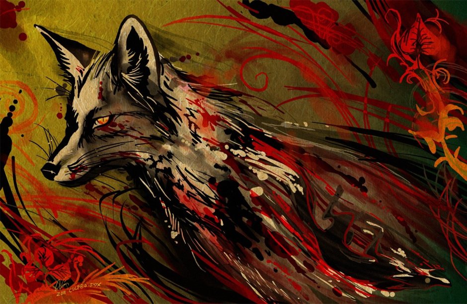 Culpeo Fox лисы 2018