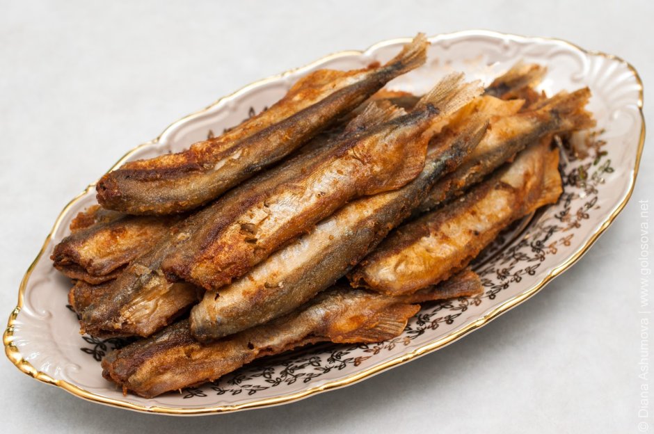 Рыба Песчанка большая