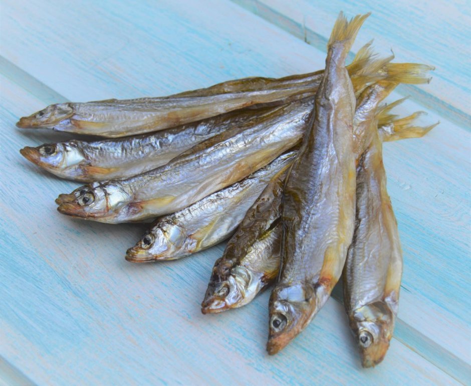 Корюшка пузанок Камчатка