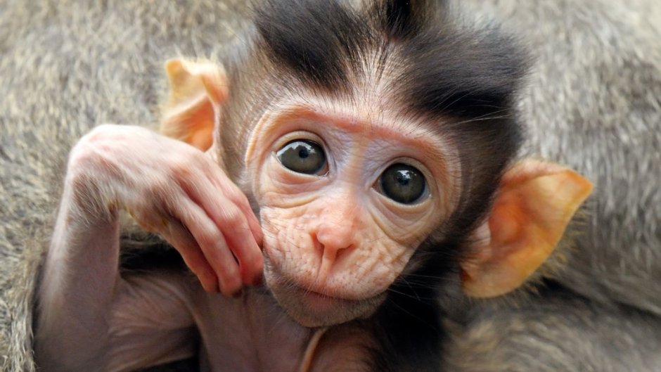 Прикольные фото на аватарку