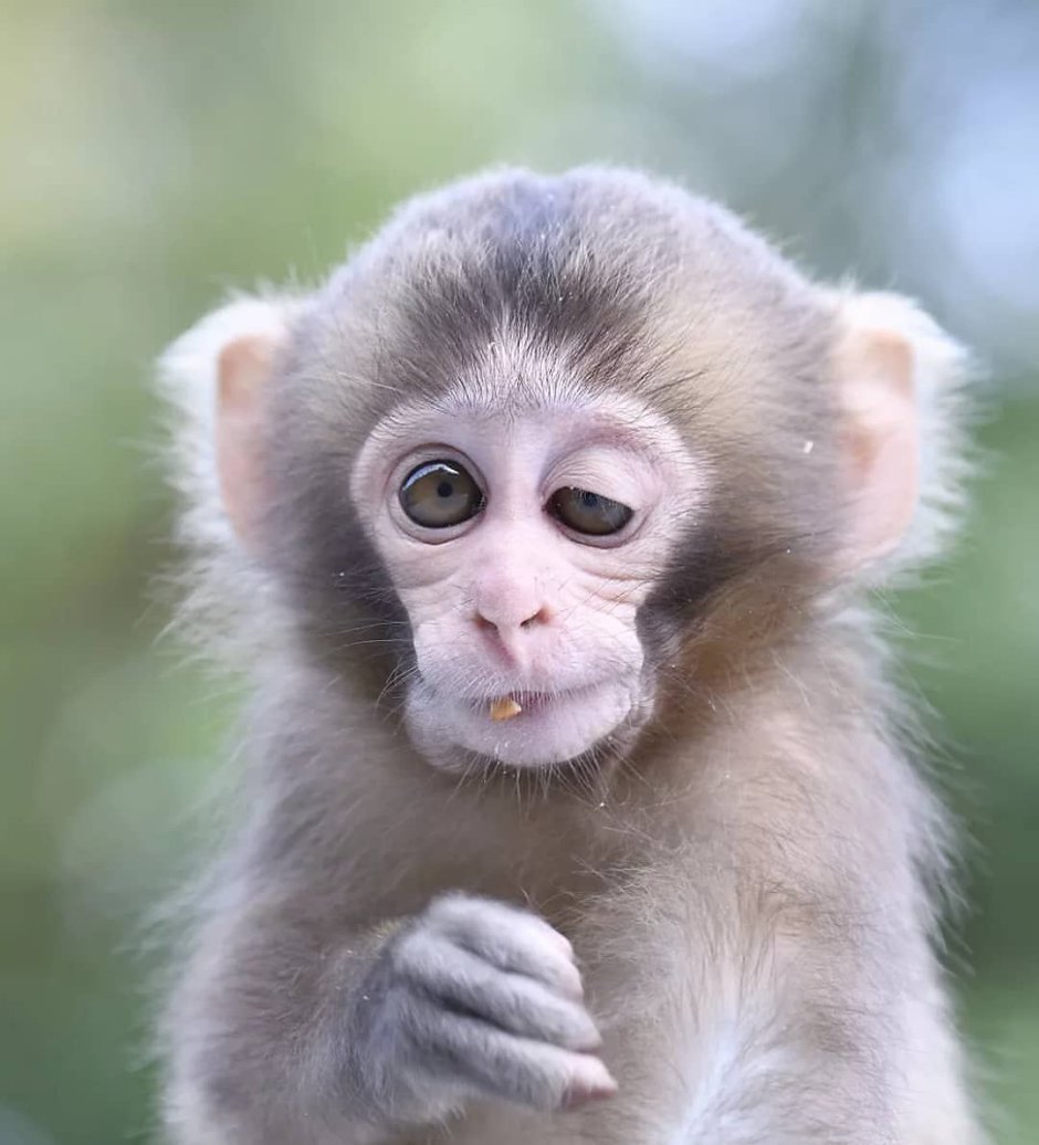 Завтра опять на работу