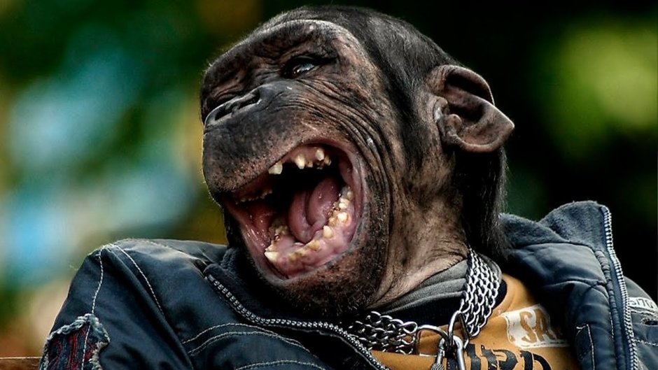 Приколы ржач