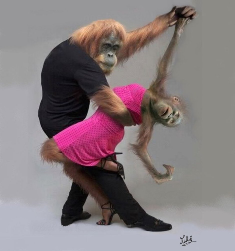 Мартышка и парень