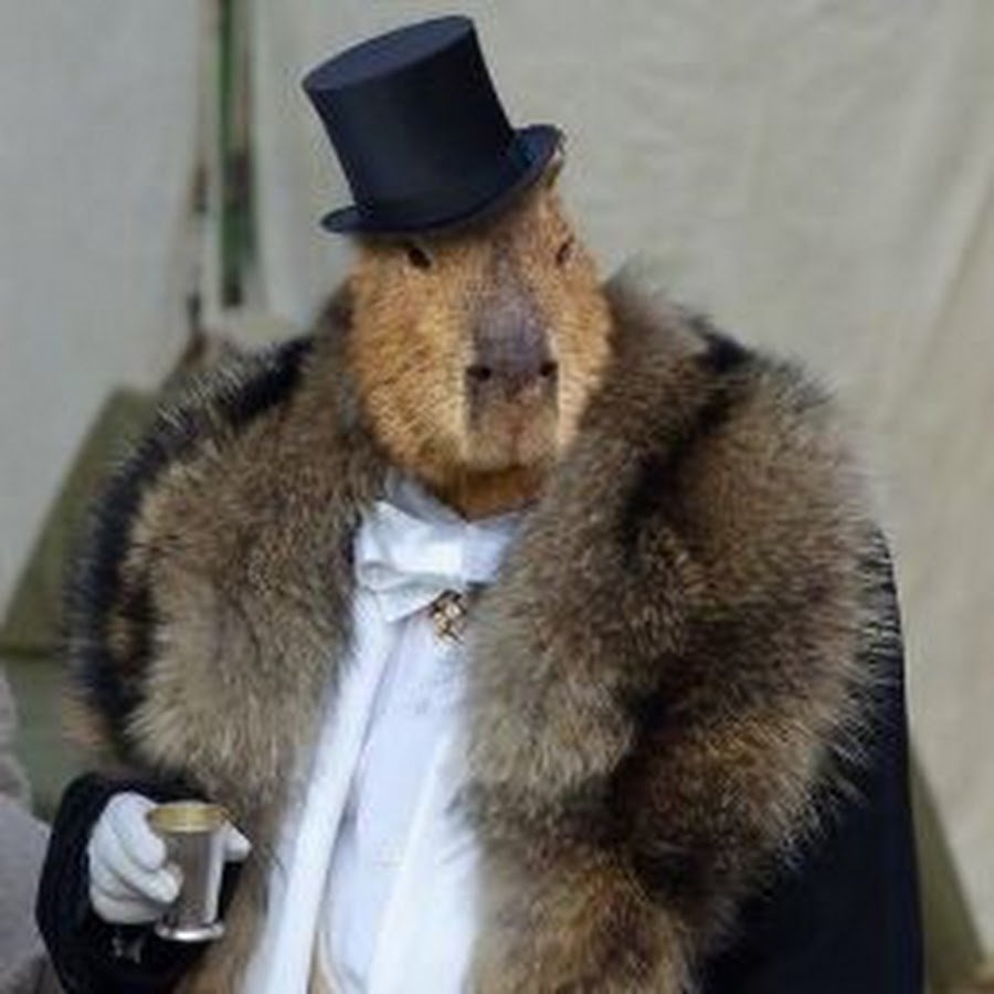 Скелет капибары