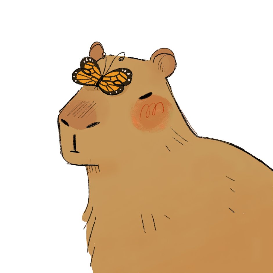 Бобер за компьютером