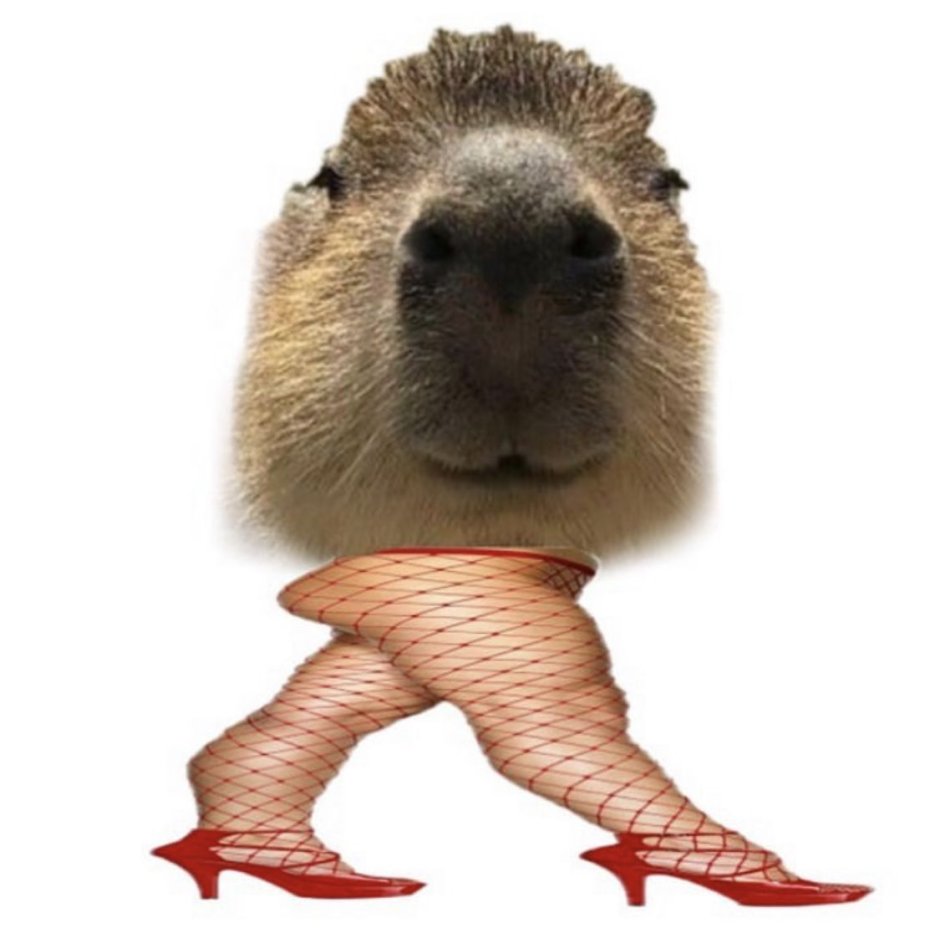 Капибара открытка